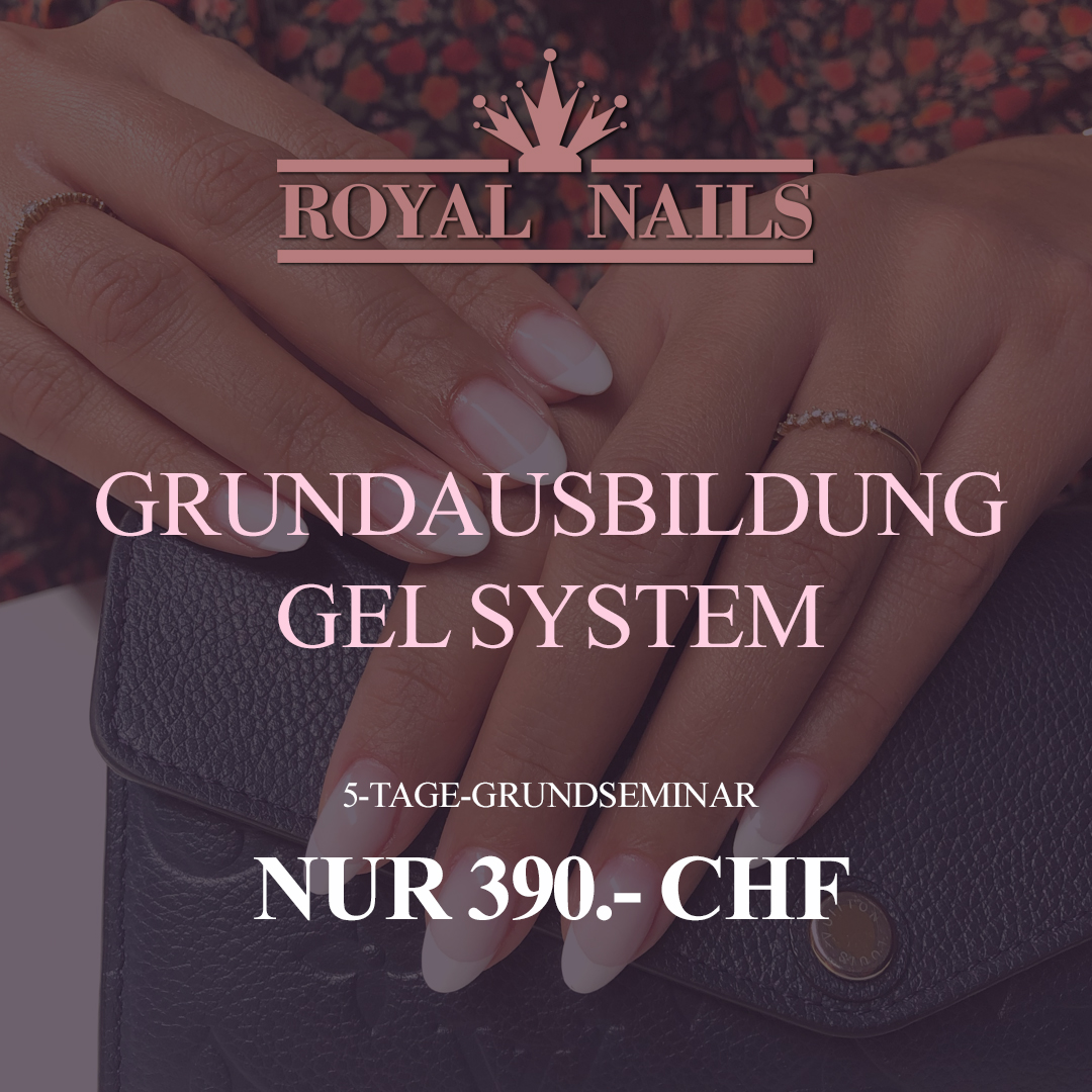 GRUNDAUSBILDUNG GEL SYSTEM